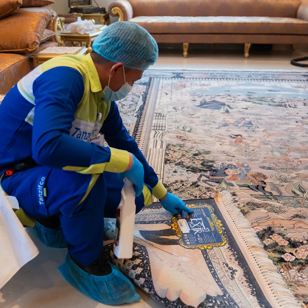 Carpet and Rugs Cleaning