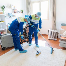 [CRC] Carpet and Rugs Cleaning